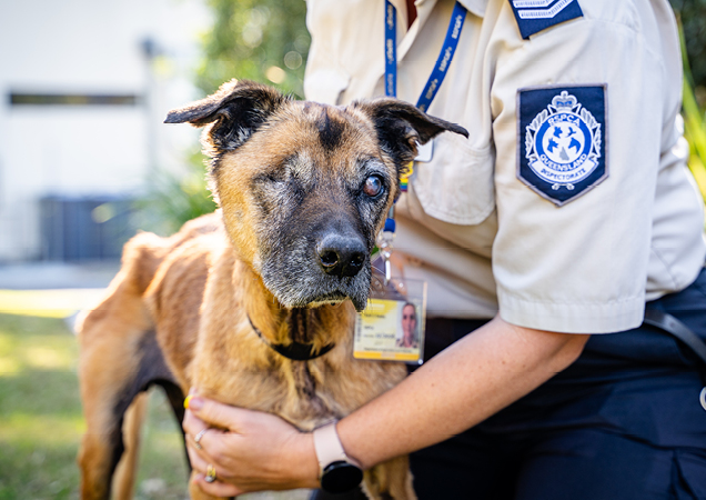 RSPCA Inspector with emaciated brown dog.